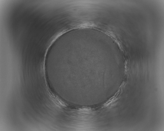 X0000069790196200605191047