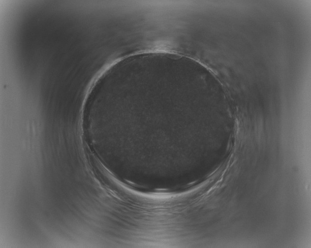 X0000069790200200605191047