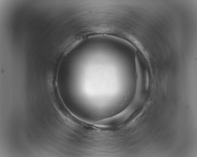 X0000069790201200605191047