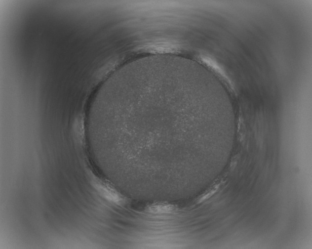 X0000069790202200605191047