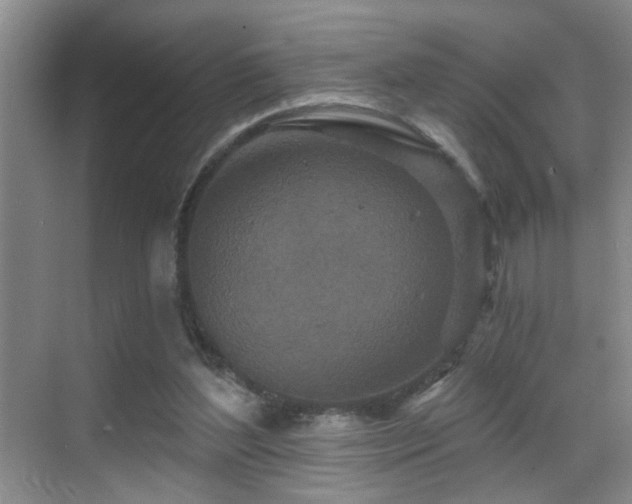 X0000069790204200605191047