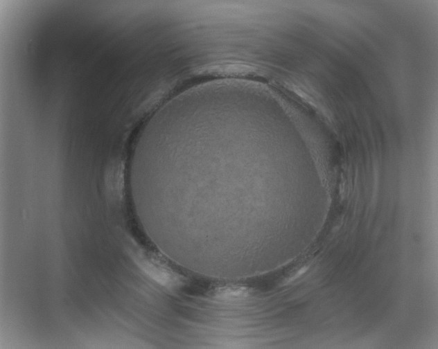 X0000069790206200605191047