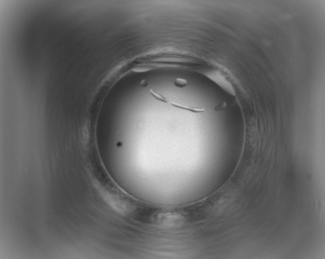 X0000069790208200605191047