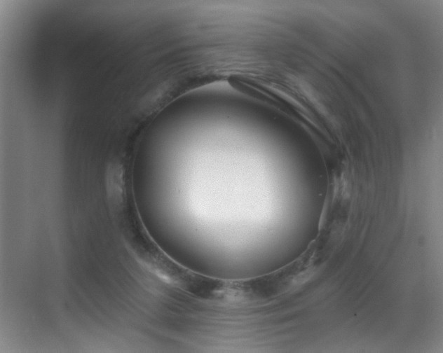 X0000069790211200605191047