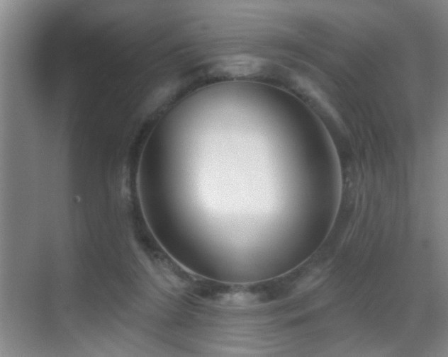 X0000069790212200605191047