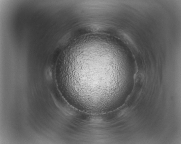 X0000069790214200605191047