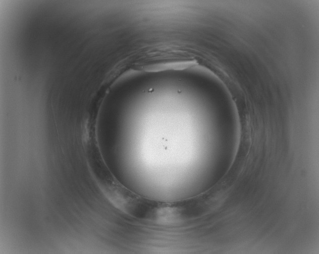 X0000069790216200605191047