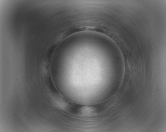 X0000069790218200605191047