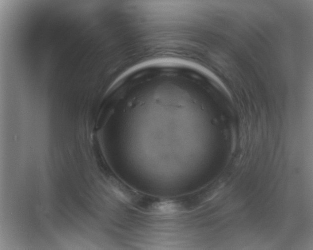 X0000069790219200605191047