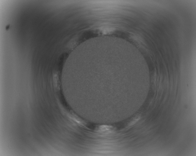 X0000069790222200605191047