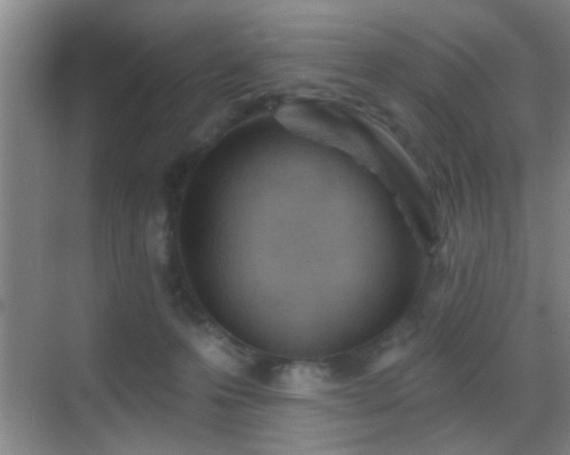 X0000069790223200605191047