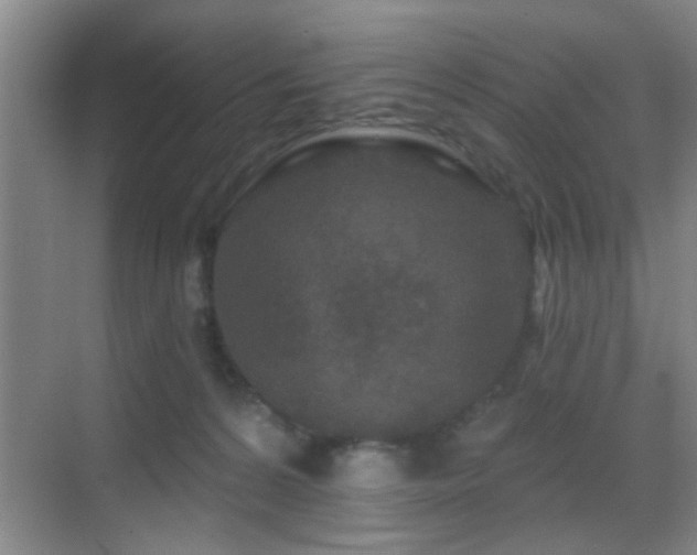 X0000069790224200605191047