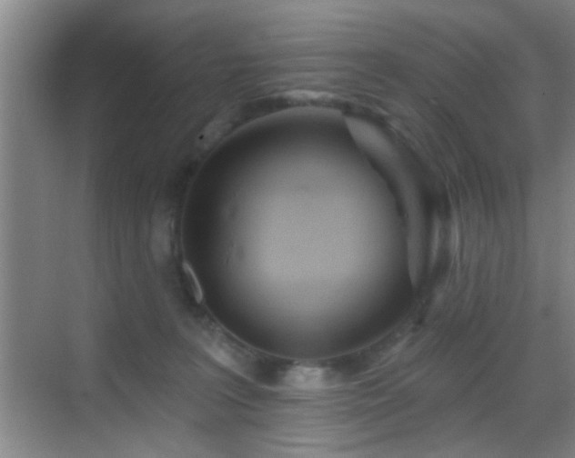 X0000069790227200605191046