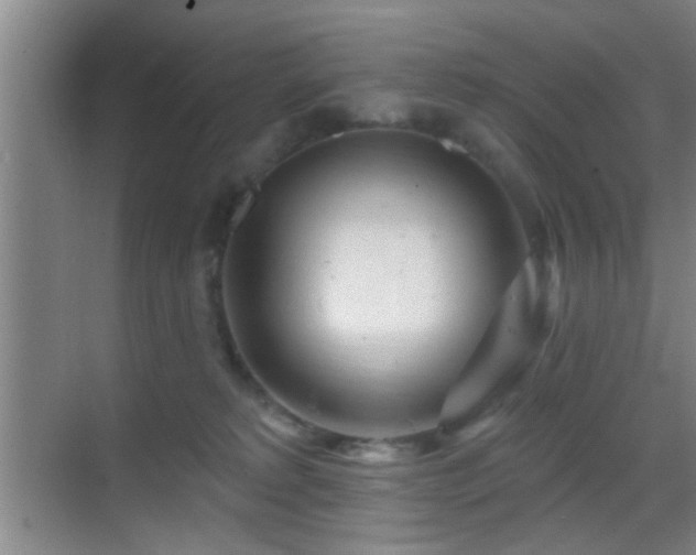 X0000069790229200605191046