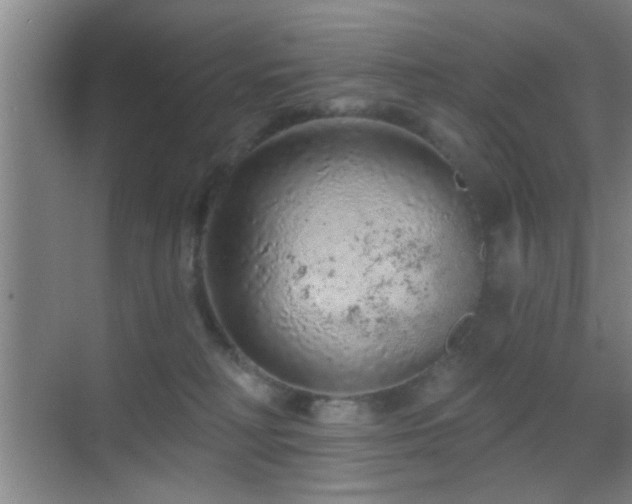 X0000069790230200605191046