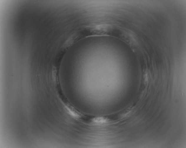 X0000069790231200605191046