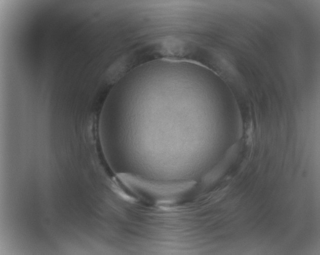 X0000069790233200605191046