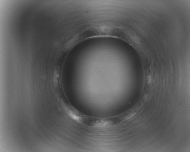 X0000069790235200605191046