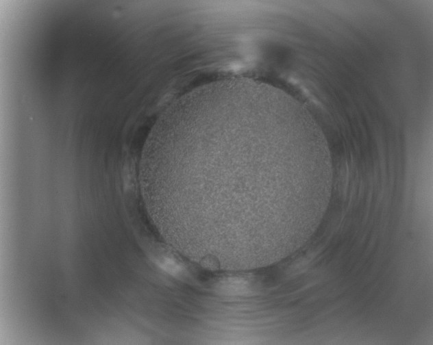 X0000069790236200605191046