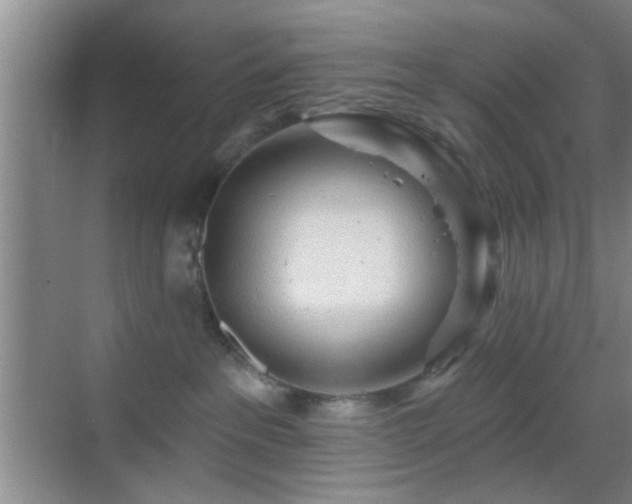 X0000069790237200605191046