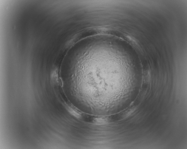 X0000069790238200605191046