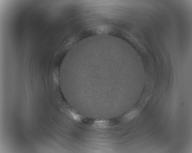 X0000069790240200605191046