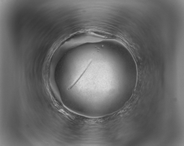 X0000069790241200605191045