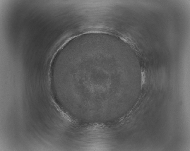 X0000069790243200605191045