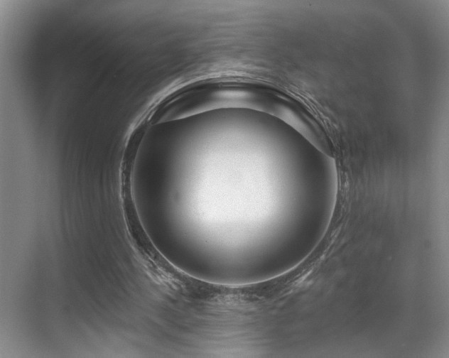 X0000069790244200605191045