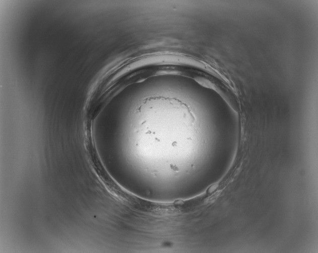 X0000069790245200605191045