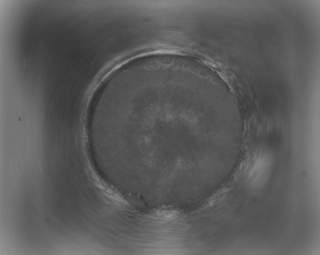 X0000069790247200605191046