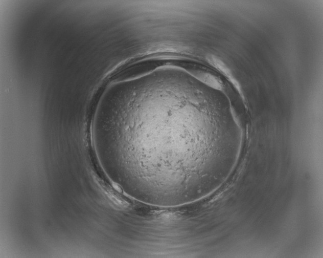 X0000069790249200605191046