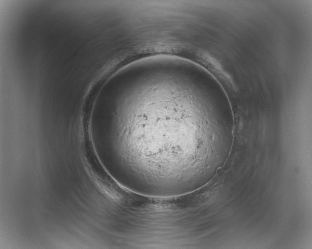 X0000069790250200605191046