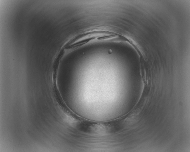 X0000069790253200605191046