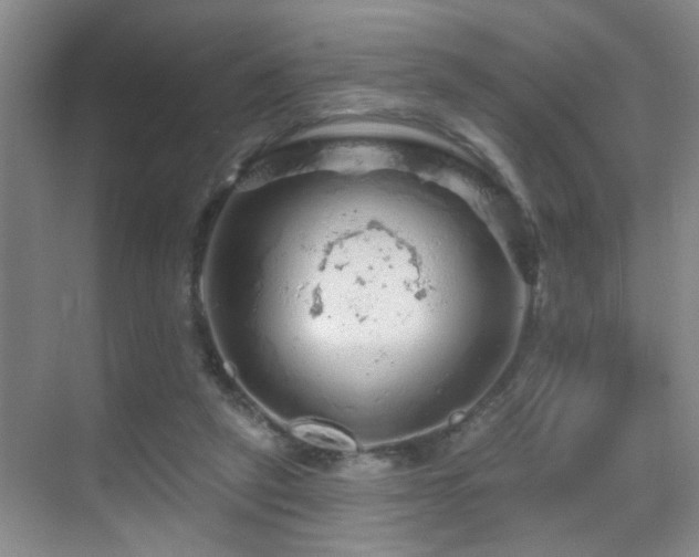 X0000069790257200605191046