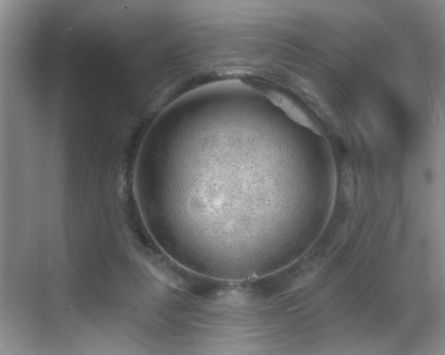 X0000069790259200605191046