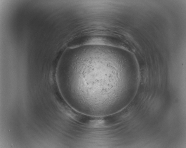 X0000069790266200605191046