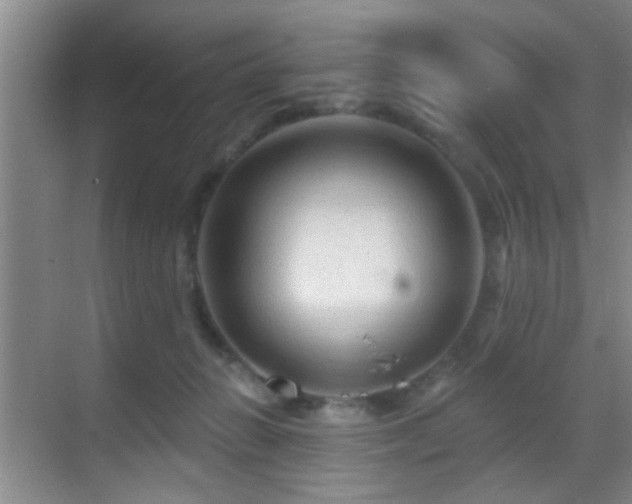 X0000069790270200605191046