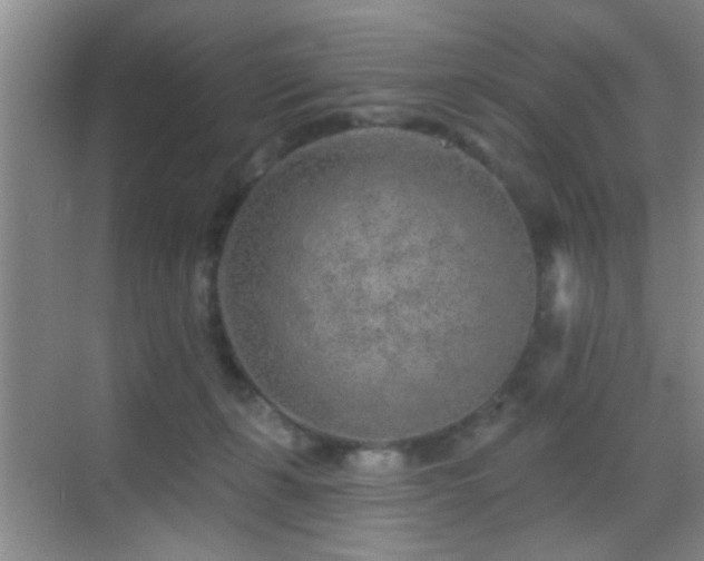 X0000069790271200605191046