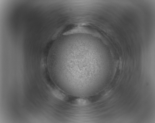 X0000069790272200605191046