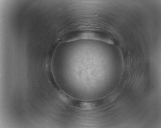 X0000069790277200605191046