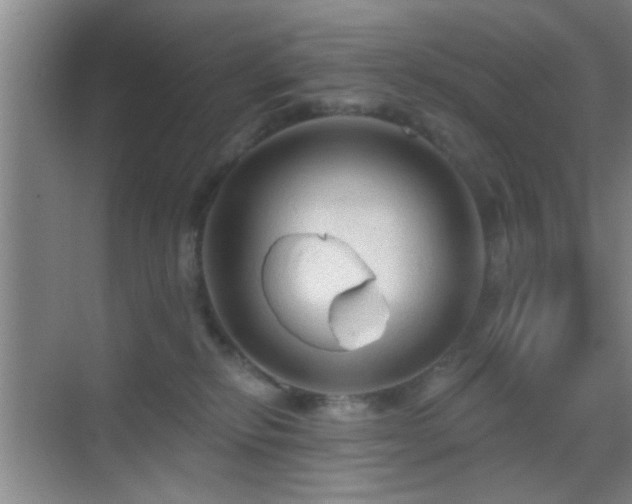 X0000069790278200605191046