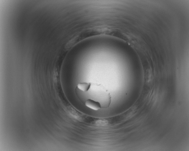 X0000069790279200605191046