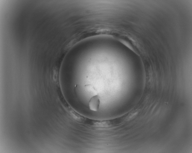 X0000069790281200605191046