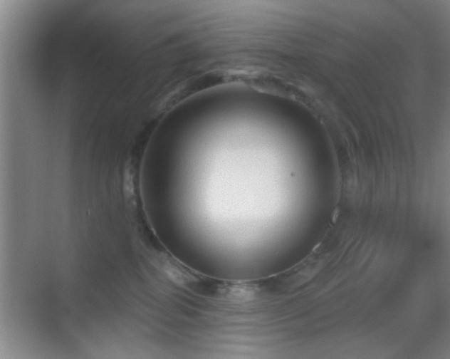 X0000069790282200605191046