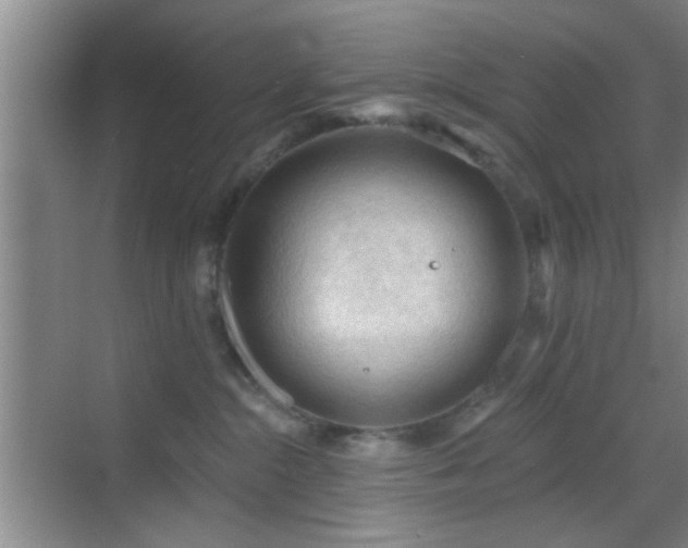 X0000069790284200605191046