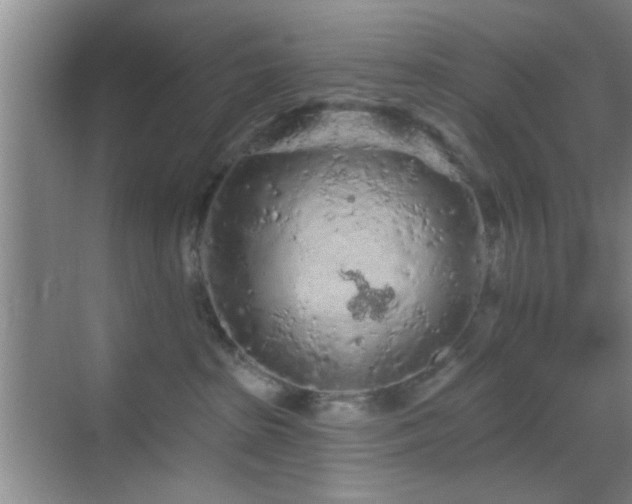 X0000069790285200605191046