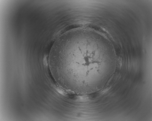 X0000069790286200605191046