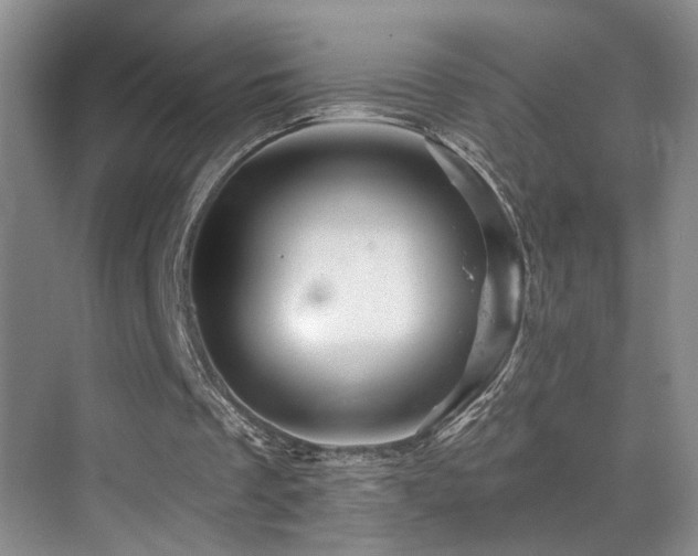 X0000069790289200605191045