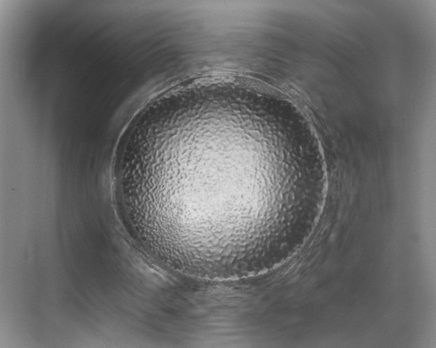 X0000069790290200605191045